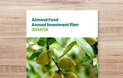 Annual Investment Plan 2024/25