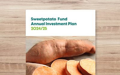 Annual Investment Plan 2024/25