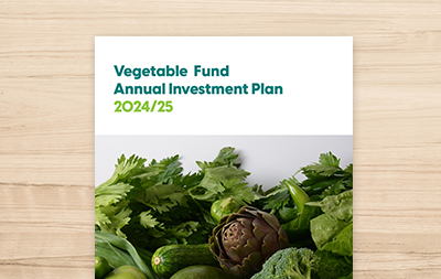 Annual Investment Plan 2024/25