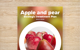 Strategic Investment Plan