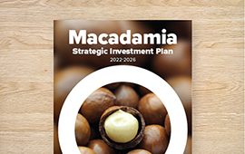 Strategic Investment Plan