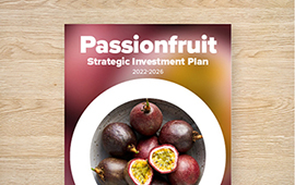 Strategic Investment Plan