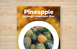 Strategic Investment Plan