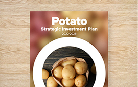 Strategic Investment Plan