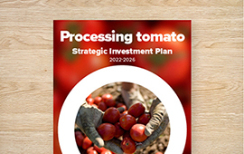 Strategic Investment Plan