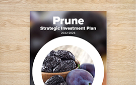 Strategic Investment Plan