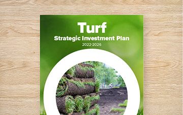 Strategic Investment Plan